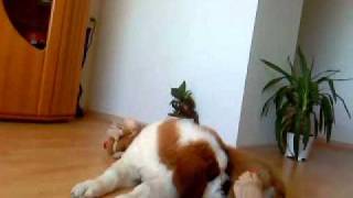 MOV00464