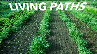 Lessons in Living Pathways