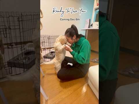 Coming Dec 6th. #alisa #pending #dog #puppy #readytoloveyou