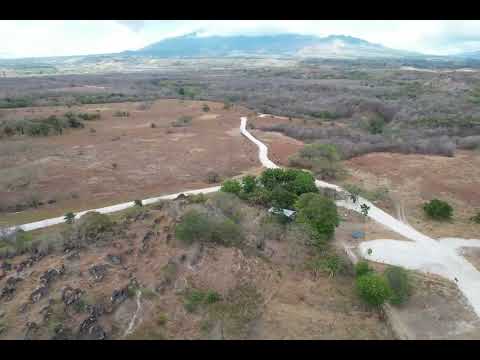 LOTES & QUINTAS HACIENDA SYLVARA BAGACES GUANACASTE