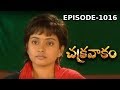 Episode 1016 Chakravakam Telugu Daily Serial Manjula Naidu Loud Speaker