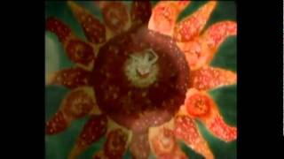 The Saturdays Faster