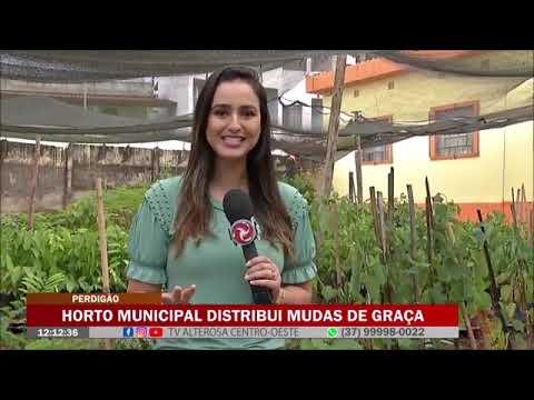 Orto de perdigão minas ai ce dá valor papai Adilson 