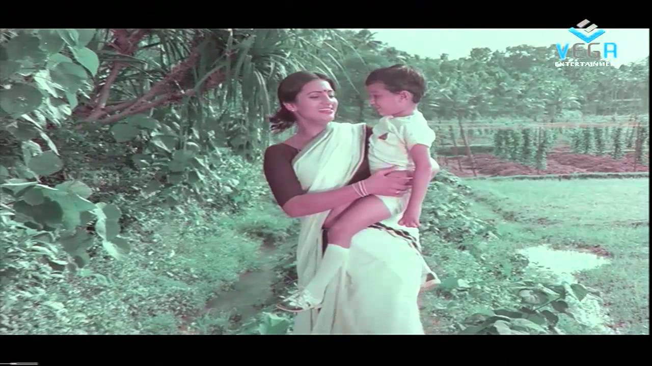 Allimalar Lyrics  | Aalkkoottathil Thaniye | Mohanlal, Mammootty | S Janaki | Shyam