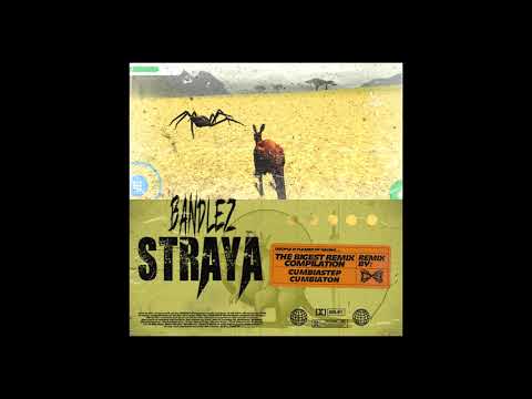Bandlez - Straya (CXB Cumbiastep Remix)