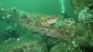 preview picture of video 'Saltwater State Park Artificial Reef Project WSA'
