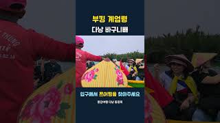 부킹 계엄령 다낭 바구니배