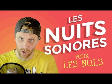 Les Nuits Sonores pour les nuls !