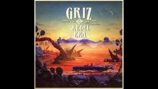 GRiZ - DTW to DIA (the travels of Mr. B)