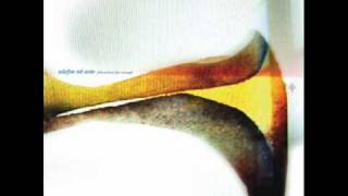 Telefon Tel Aviv  Lotus Above Water