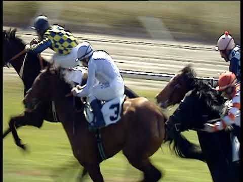 Galoppo 20/01/2020 - 6ª corsa