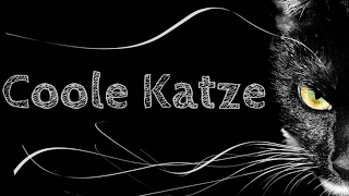 Namika - Coole Katze [ with Lyrics ]