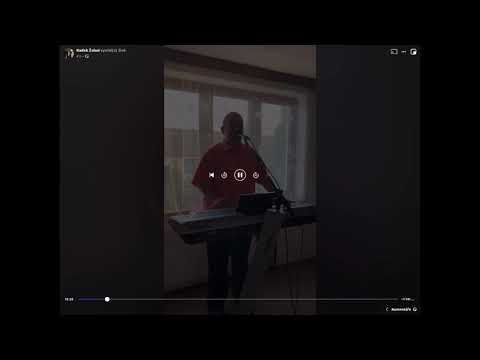 Online koncert Radka Žaluda 31.10.2020. zkrácená verze