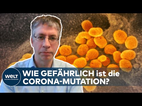 Epidemiologe Prof. Ulrichs: CORONA-MUTATION ist wohl effektivier | WELT INTERVIEW