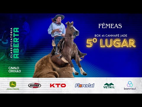 5ª FÊMEA - CANHAFÉ JADE - Classificatória Aberta(Esteio)