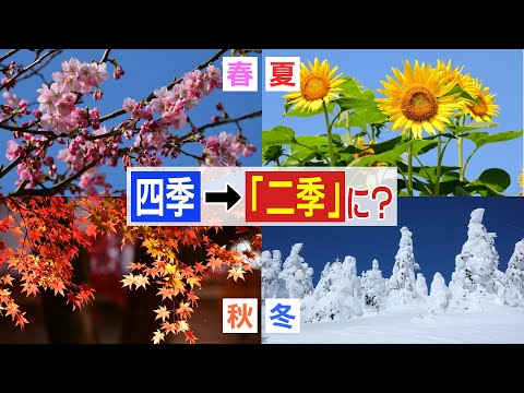 冬のベールをかぶる方法 慎重に植物を選ぶ 位置を保護する