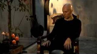 An Introduction to ASHES dIVIDE (The Prey)