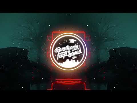 Tudor Gheorghe - Au înnebunit salcâmii (EsKayZee remix)