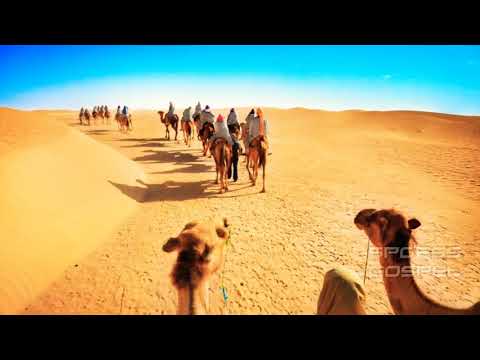 276. EM CANAÃ EU ENTRAREI