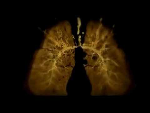 BRING ME THE HORIZON   Pray for Plagues(Post-Hardcore.COM)