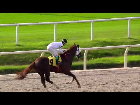 230507 c04 LEMON CHILL