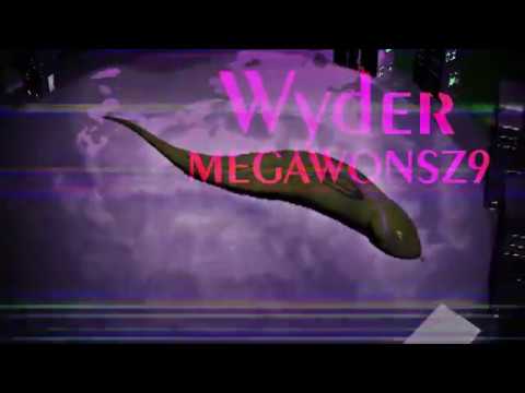Wyder - MEGAWONSZ9