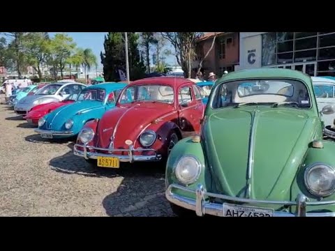 DNF 2022 - Dia Nacional do Fusca  Curitiba PR