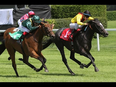 München: European Breeders Fund-Rennen EBF-Rennen (D) - Sieger: Molly le Clou