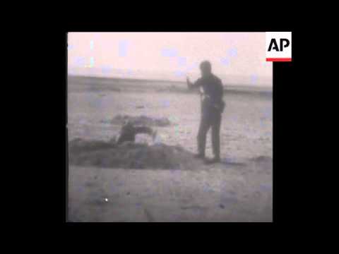 SYND 17 10 73 ISRAELIS TAKE PRISONERS