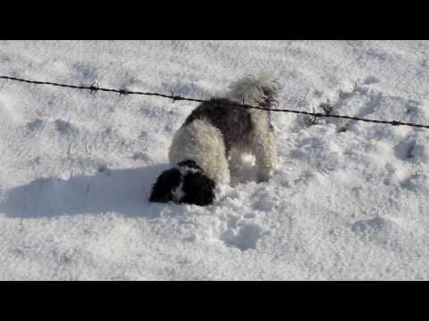 In de sneeuw