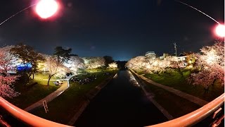 preview picture of video 'Okazaki Sakura Matsuri in the night 2015 April 03 Friday'