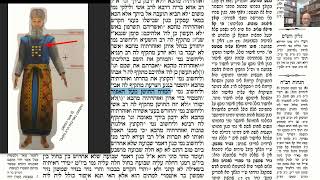 דף יומי מסכת מכות דף כב Daf yomi Masechet Makkot page 22  ע"י יוני גוטמן (שיעורי הדף היומי ב-20 דקות – מועבר ע"י ר' יוני גוטמן – לעילוי נשמת אביו ר' אלימלך צבי (צביקה) גוטמן ז"ל) - התמונה מוצגת ישירות מתוך אתר האינטרנט יוטיוב. זכויות היוצרים בתמונה שייכות ליוצרה. קישור קרדיט למקור התוכן נמצא בתוך דף הסרטון