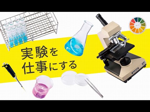 ストラスブール高等バイオテクノロジー学校 - 定義