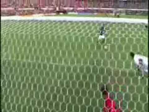 Goiás 1 x 3 Flamengo (20/05/2007)