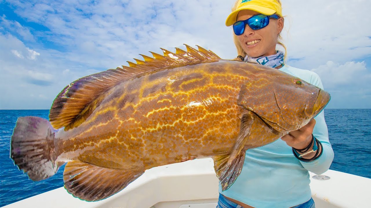 YANK 'EM UP! Florida Girl BOTTOM FISHING for BIG GROUPER Catch & Cook!