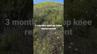 Download lagu California poppies and cactus. Lake Hodges, San Diego, Ca. April 2023 mp3