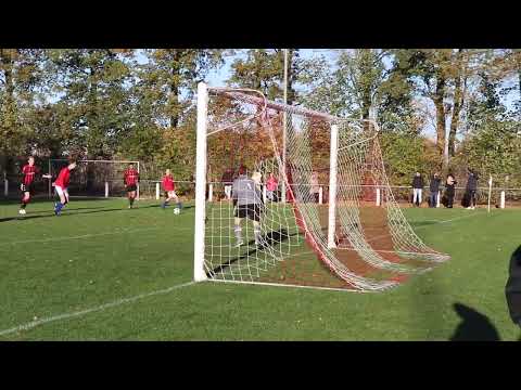 BELLINGWOLDE O19-1  -  WVV 019-2   d.d. 19-11-2022