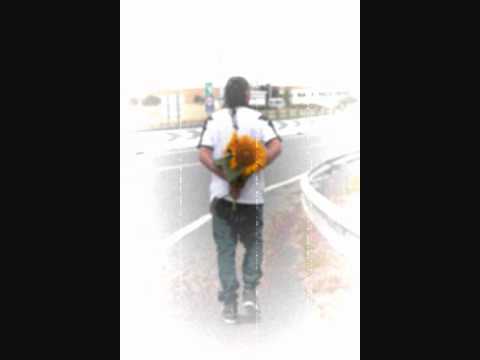 marcosbest - Girassois (com Hulda Marques)