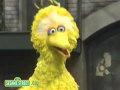 YOUtUBE SESAME STREET ELMO S SONG
