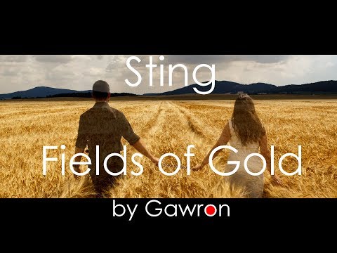 🎶🥁 Sting - FIELDS OF GOLD drum cover by Gawron