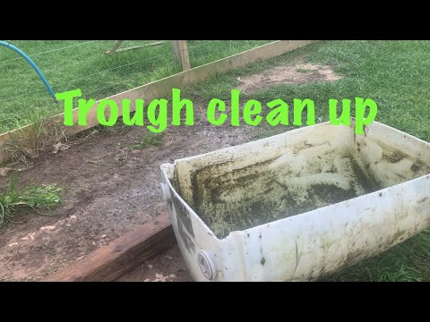 Trough clean up