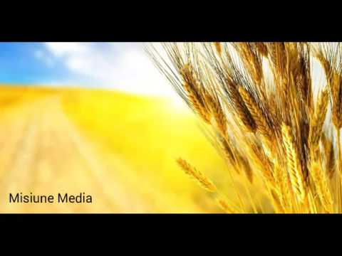 Negativ veniți sa ne-chinam