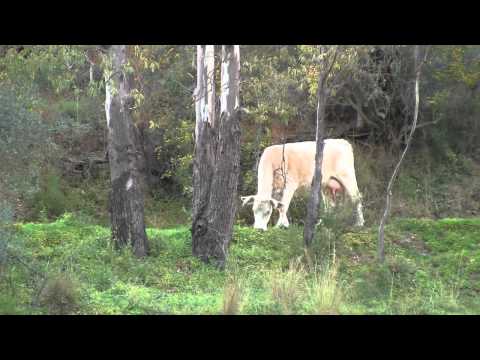 Malaga bmx trip 2012