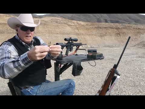 22-250 Rem. or .223 Rem. Which is better for Varmint Hunting? The Hammer or the Nail?