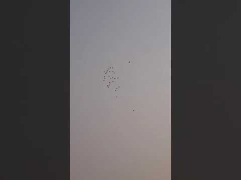 GZ Loft - A team morning stretch