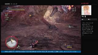 イカルとタコ　食物連鎖の頂点を目指す