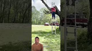 Dangerous Tree Cutting with Chainsaw on Ladder 😱 #treecutting #woodworking #shorts
