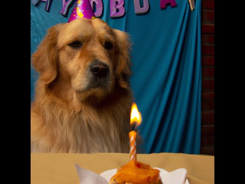 Cumpleaños - Carlos Manuel (Visualizer)