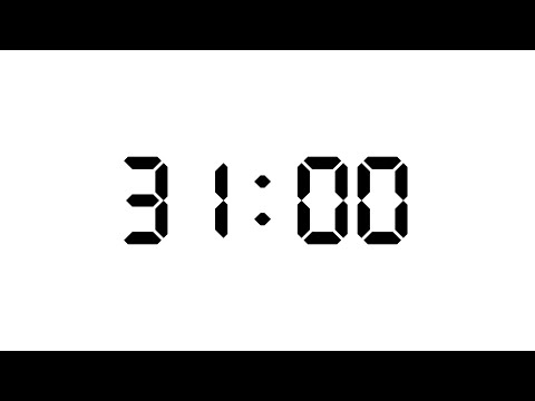 31 Minute | 1860 Seconds Timer | White Screen With Silent Focus | NX