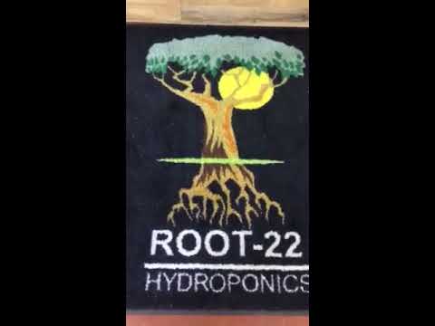 Root 22 Hydroponics Garden Center Walk-Through